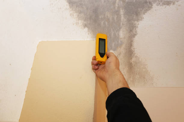 Best Dehumidification Services  in Chinchilla, PA