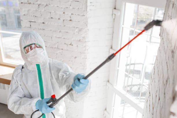 Best Commercial Mold Inspection  in Chinchilla, PA