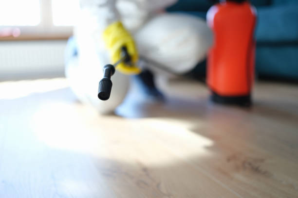 Best Asbestos and Lead Testing During Mold Inspection  in Chinchilla, PA